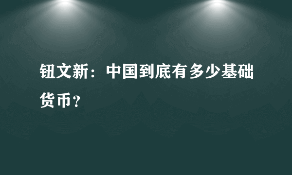 钮文新：中国到底有多少基础货币？