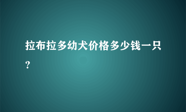 拉布拉多幼犬价格多少钱一只？