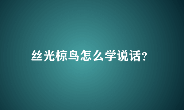 丝光椋鸟怎么学说话？