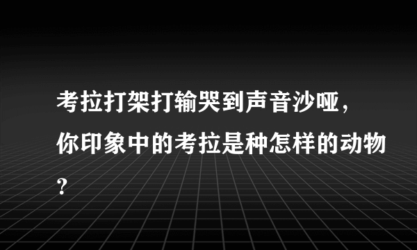 考拉打架打输哭到声音沙哑，你印象中的考拉是种怎样的动物？