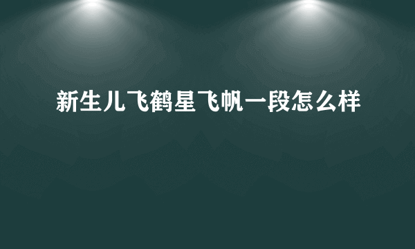 新生儿飞鹤星飞帆一段怎么样