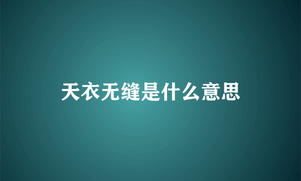 天衣无缝是什么意思