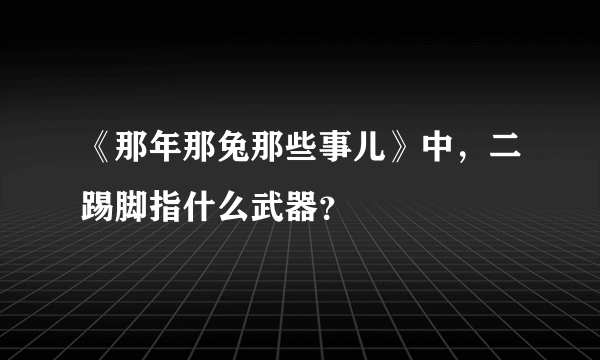 《那年那兔那些事儿》中，二踢脚指什么武器？