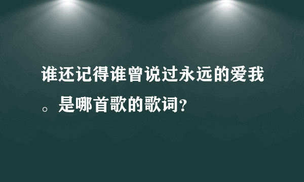 谁还记得谁曾说过永远的爱我。是哪首歌的歌词？