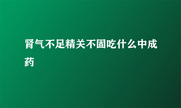 肾气不足精关不固吃什么中成药