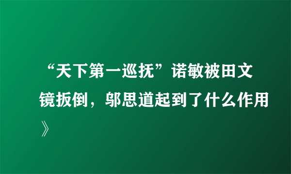 “天下第一巡抚”诺敏被田文镜扳倒，邬思道起到了什么作用》