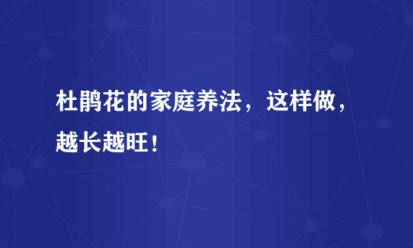 杜鹃花的家庭养法，这样做，越长越旺！