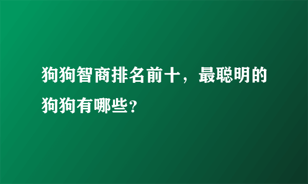 狗狗智商排名前十，最聪明的狗狗有哪些？