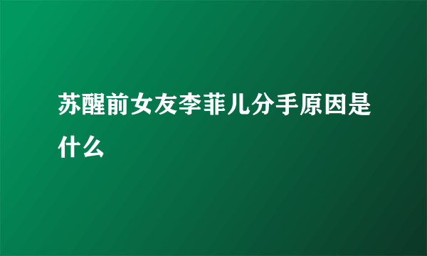 苏醒前女友李菲儿分手原因是什么