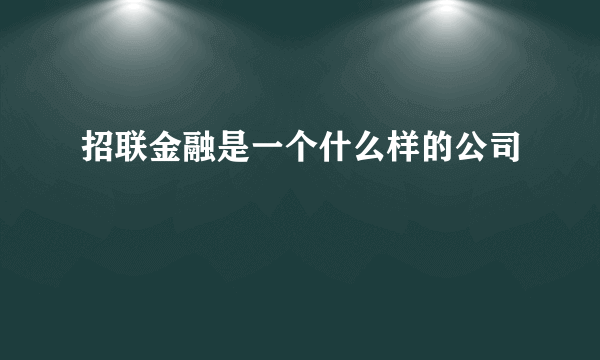 招联金融是一个什么样的公司