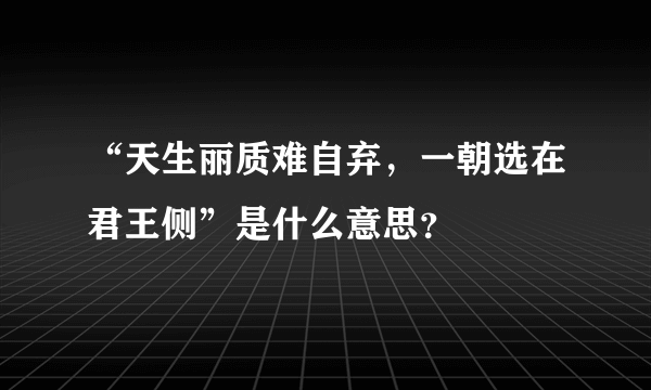 “天生丽质难自弃，一朝选在君王侧”是什么意思？