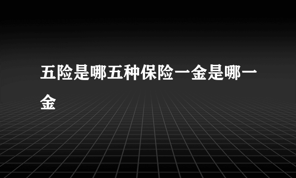 五险是哪五种保险一金是哪一金