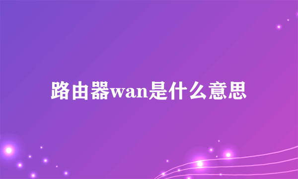 路由器wan是什么意思