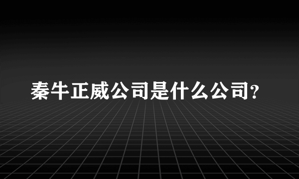 秦牛正威公司是什么公司？