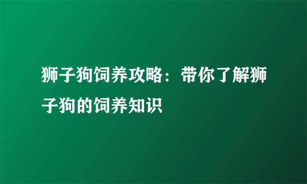 狮子狗饲养攻略：带你了解狮子狗的饲养知识