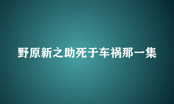 野原新之助死于车祸那一集