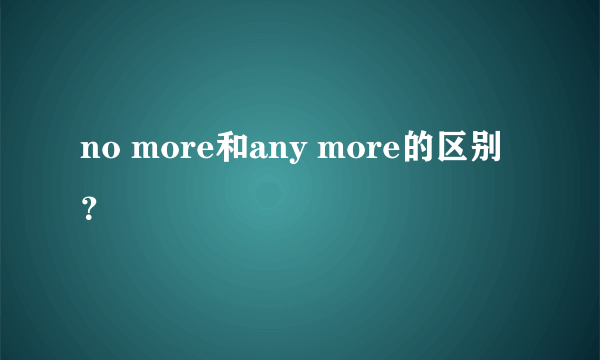 no more和any more的区别？