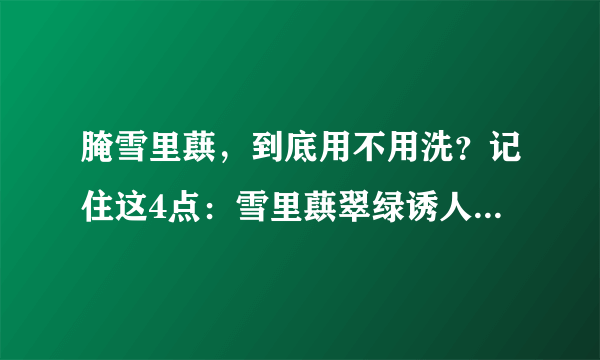 腌雪里蕻，到底用不用洗？记住这4点：雪里蕻翠绿诱人半年都不坏