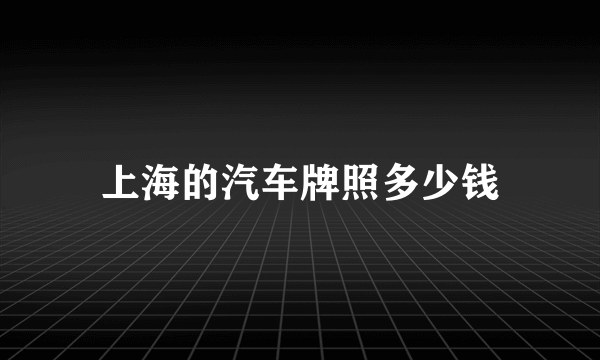 上海的汽车牌照多少钱