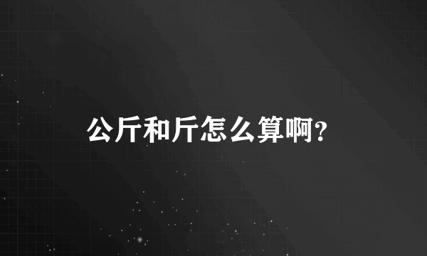 公斤和斤怎么算啊？