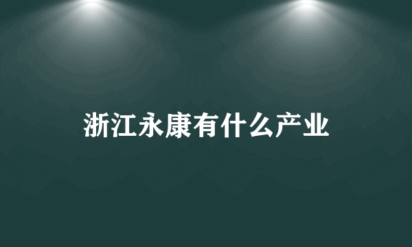 浙江永康有什么产业