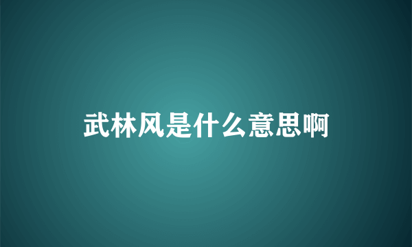 武林风是什么意思啊