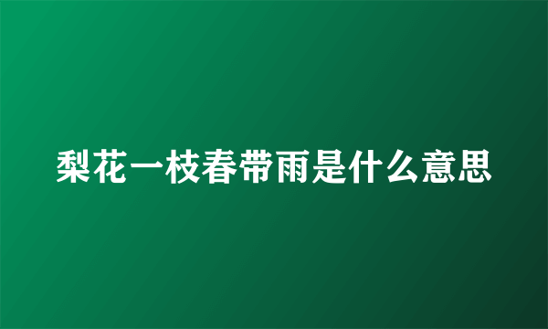 梨花一枝春带雨是什么意思