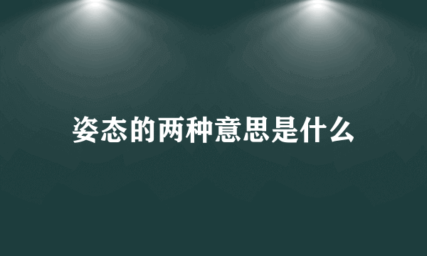 姿态的两种意思是什么