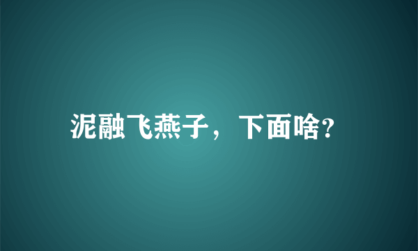 泥融飞燕子，下面啥？