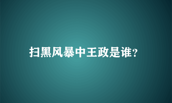 扫黑风暴中王政是谁？