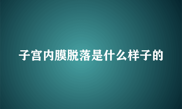 子宫内膜脱落是什么样子的