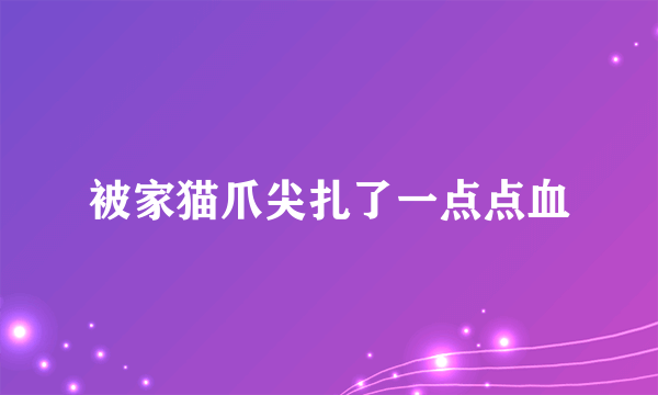 被家猫爪尖扎了一点点血