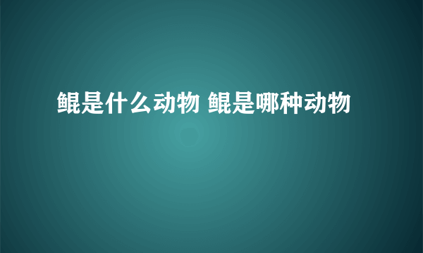 鲲是什么动物 鲲是哪种动物