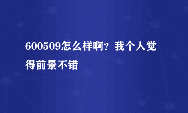 600509怎么样啊？我个人觉得前景不错