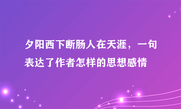 夕阳西下断肠人在天涯，一句表达了作者怎样的思想感情