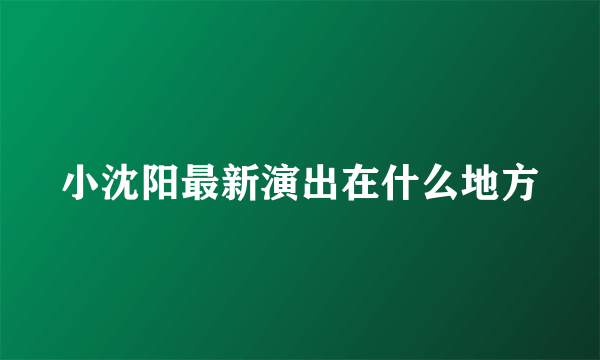 小沈阳最新演出在什么地方