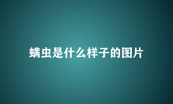 螨虫是什么样子的图片