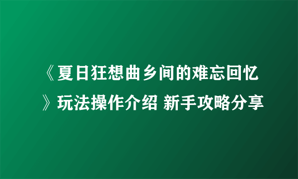 《夏日狂想曲乡间的难忘回忆》玩法操作介绍 新手攻略分享