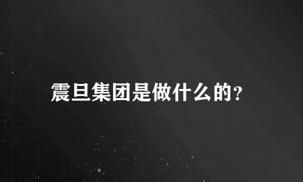 震旦集团是做什么的？