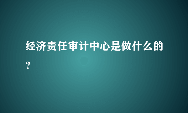 经济责任审计中心是做什么的？