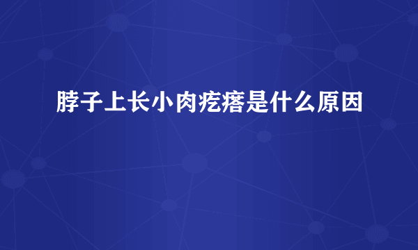 脖子上长小肉疙瘩是什么原因