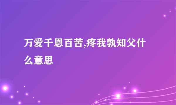 万爱千恩百苦,疼我孰知父什么意思