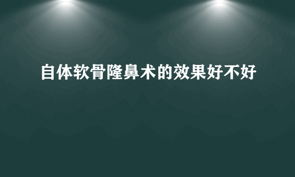 自体软骨隆鼻术的效果好不好