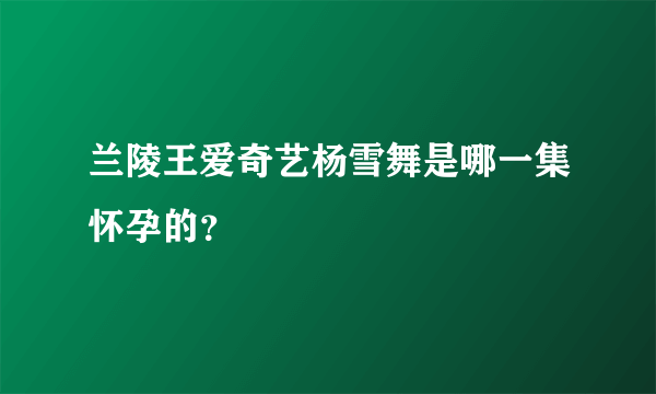 兰陵王爱奇艺杨雪舞是哪一集怀孕的？