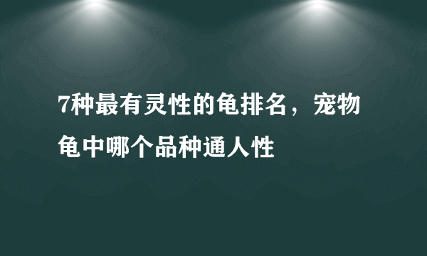 7种最有灵性的龟排名，宠物龟中哪个品种通人性