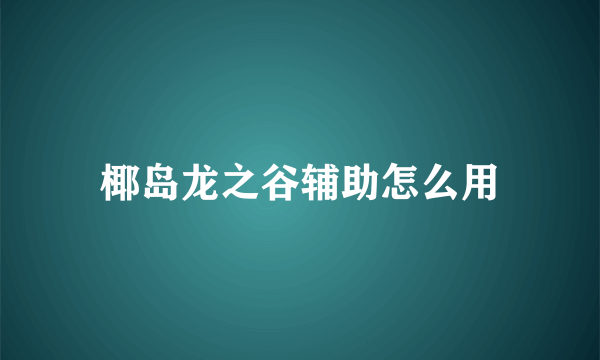 椰岛龙之谷辅助怎么用