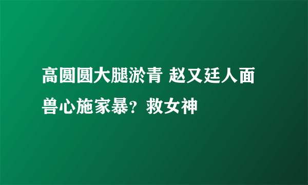 高圆圆大腿淤青 赵又廷人面兽心施家暴？救女神