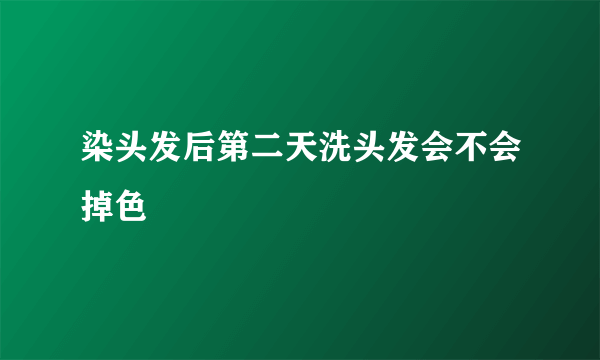 染头发后第二天洗头发会不会掉色