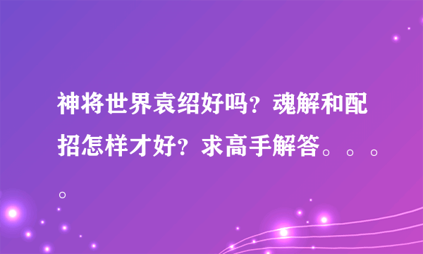 神将世界袁绍好吗？魂解和配招怎样才好？求高手解答。。。。