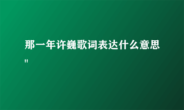 那一年许巍歌词表达什么意思